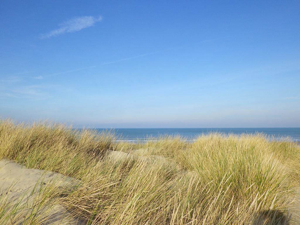 Evancy La Brise Des Dunes Bray-Dunes Exteriér fotografie